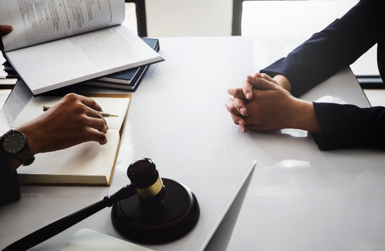 lawyer consults client