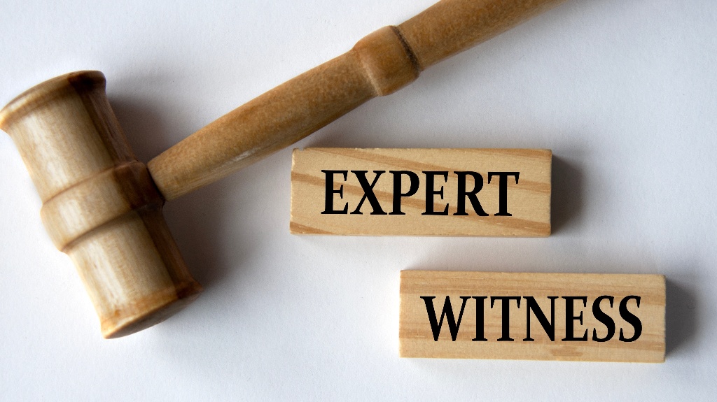 Expert witness words on wooden blocks